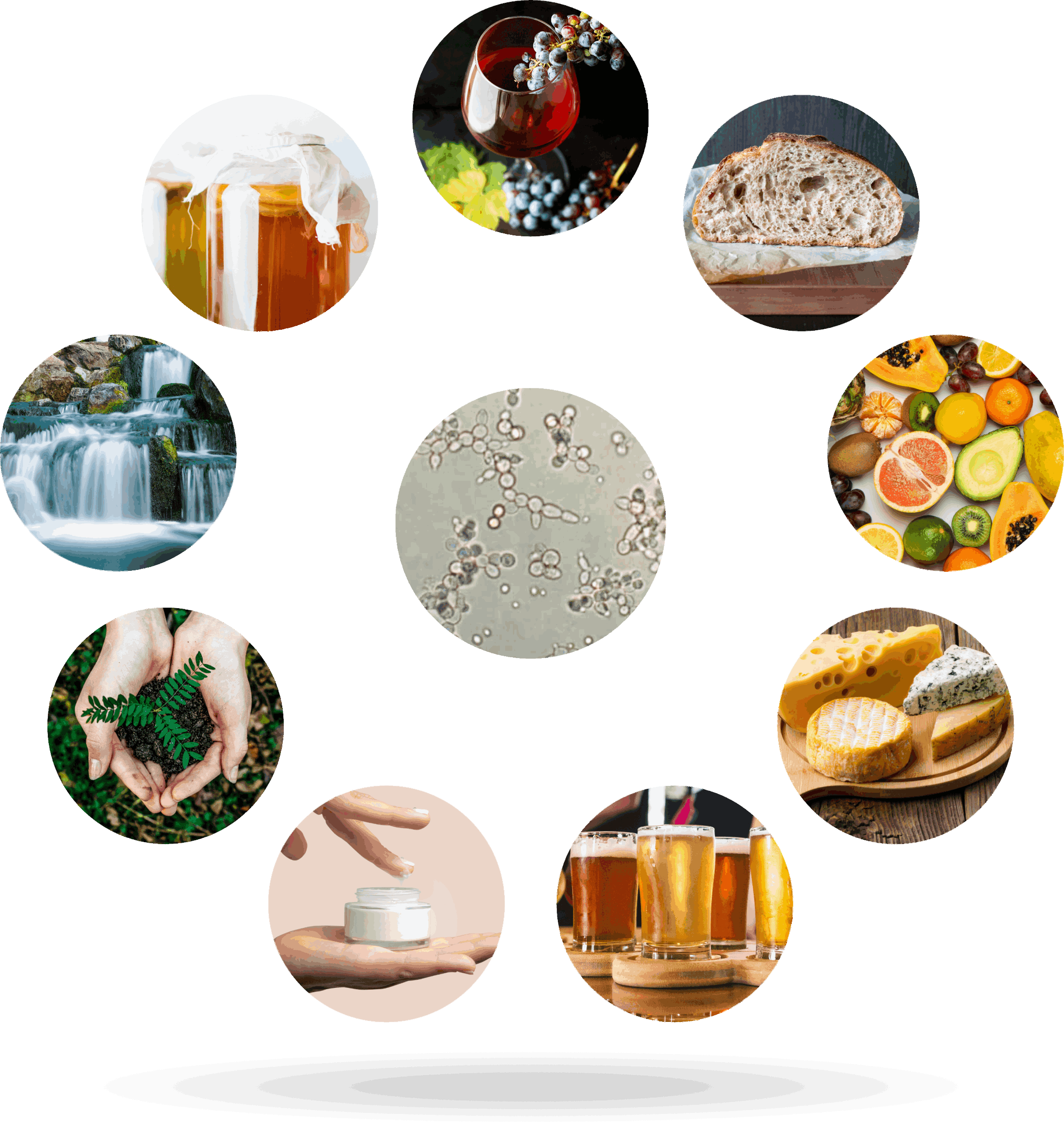 Bioflar